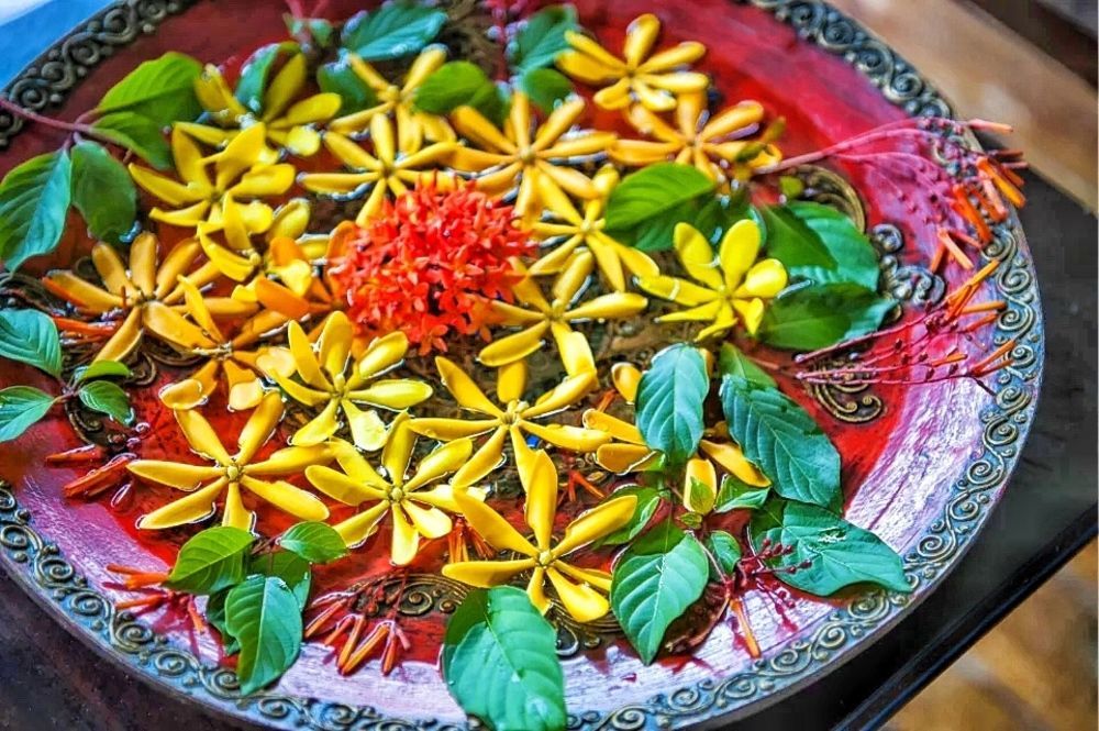 Xishuangbanna Elephanthome Boutique Guest House Dış mekan fotoğraf